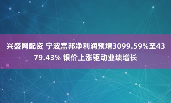 兴盛网配资 宁波富邦净利润预增3099.59%至4379.43% 银价上涨驱动业绩增长