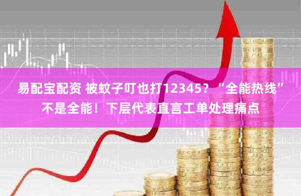 易配宝配资 被蚊子叮也打12345？“全能热线”不是全能！下层代表直言工单处理痛点