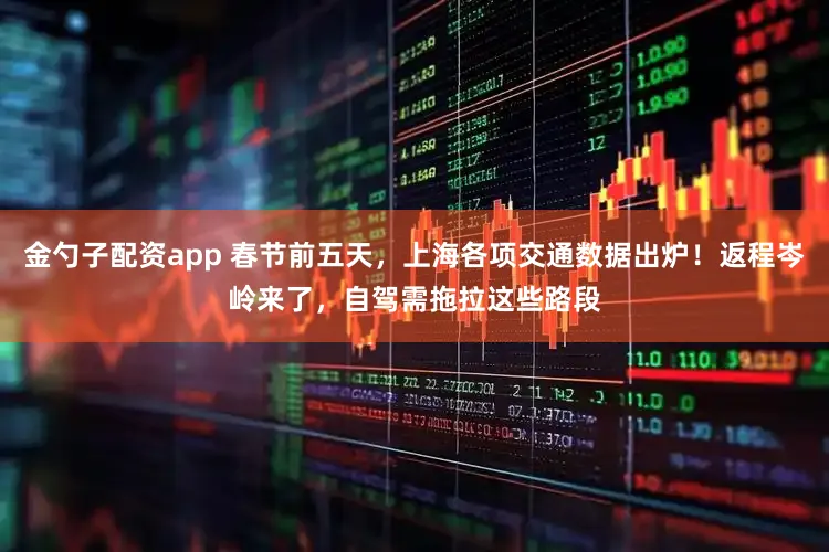 金勺子配资app 春节前五天，上海各项交通数据出炉！返程岑岭来了，自驾需拖拉这些路段