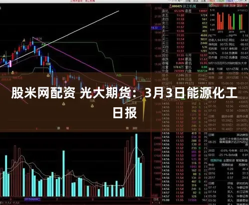 股米网配资 光大期货：3月3日能源化工日报