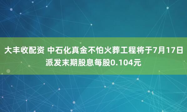 大丰收配资 中石化真金不怕火葬工程将于7月17日派发末期股息每股0.104元