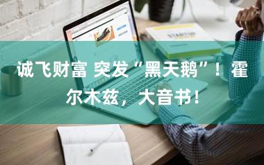 诚飞财富 突发“黑天鹅”！霍尔木兹，大音书！