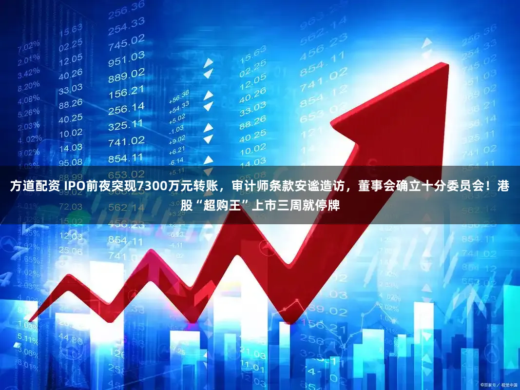 方道配资 IPO前夜突现7300万元转账,审计师条款安谧造访,董事会确立十分委员会!港股“超购王”上市三周就停牌