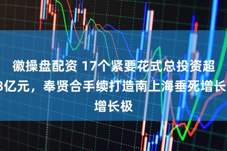 徽操盘配资 17个紧要花式总投资超48亿元,奉贤合手续打造南上海垂死增长极