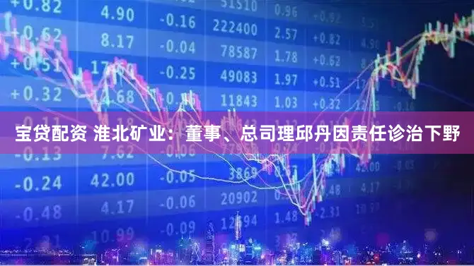 宝贷配资 淮北矿业：董事、总司理邱丹因责任诊治下野